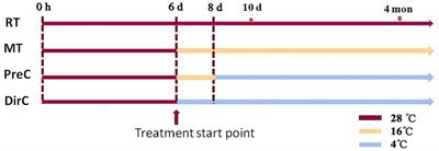 Enhanced cold tolerance mechanisms in Euglena gracilis: comparative analysis of pre-adaptation and direct low-temperature exposure